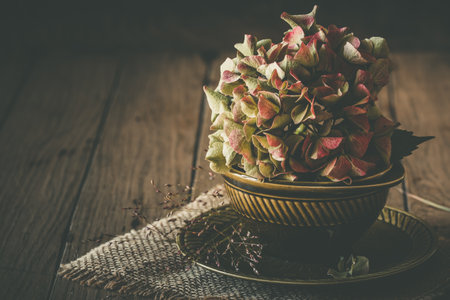 Half-dried and slightly faded pink hydrangea flower in an old, green soup bowl on dark wooden background, beautiful vintage autumn decorationの写真素材