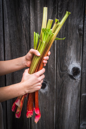 Two female hands holding rhubarb, wooden background,の写真素材