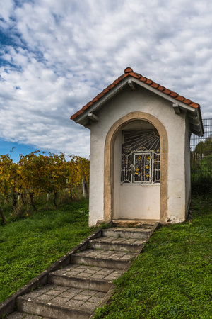 Small chapel in the vineyard in autumnの写真素材