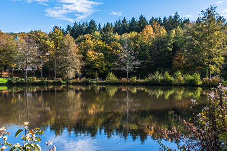 Autumn trees reflected in the water of a lake, blue skyの写真素材
