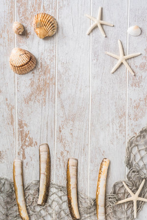 Seashells and starfish on a white wooden background. Holiday and vacation concept. Top view, copy space.の写真素材