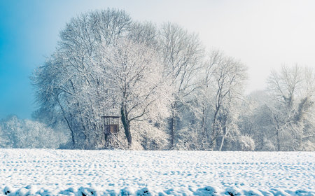 Snowy field with trees and high seat, winter landscapeの写真素材