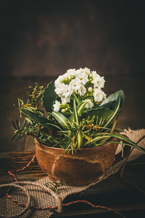 Flaming Katy plant (kalanchoe blossfeldiana), also known as widow's thrill or Christmas kalanchoe, in a stoneware mug on a rustic wooden table. Vertical with copy space.の写真素材
