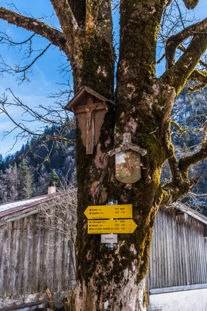 Signpost for hiking trails on a tree in the Alps, along with Christian religious carvings.の写真素材