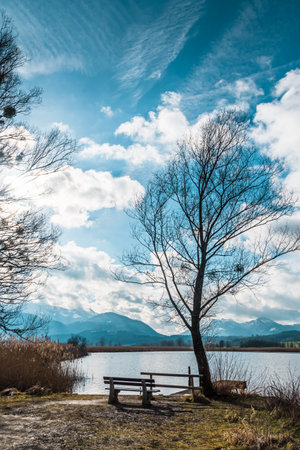 On the shore of Lake Chiemsee in the Alps in winterの写真素材