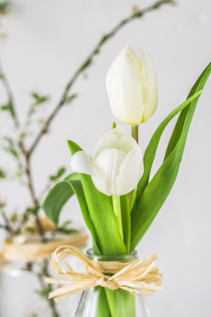Spring flowers in glasses on white background, verticalの写真素材