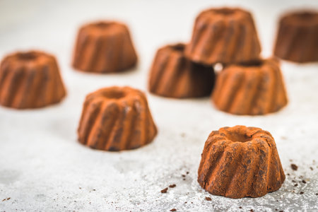 Chocolate pralines in the form of small Bundt cakes dusted with cocoa, on a light gray background, focus on a single chocolate in the foregroundの写真素材