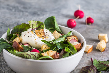 Mixed salad with radishes, homemade croutons and burrata cheese on gray backgroundの写真素材