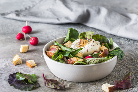 Mixed salad with radishes, homemade croutons and burrata cheese on gray backgroundの写真素材