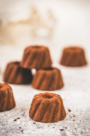 Chocolate pralines in the form of small Bundt cakes dusted with cocoa, on a light gray background, focus on a single chocolate in the foreground, vertical with copy spaceの写真素材