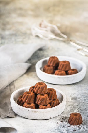 Chocolate pralines in the form of small Guglhupf tarts, dusted with cocoa, on light gray background, vertical with copy spaceの写真素材