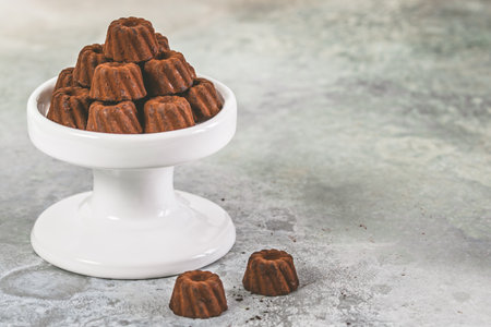 Chocolate pralines in the form of small Bundt cakes, dusted with cocoa, on light gray background, copy spaceの写真素材