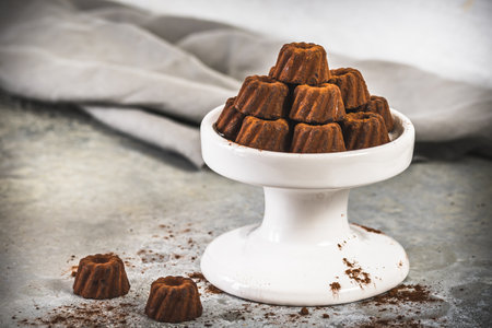 Chocolate pralines in the form of small Bundt cakes, dusted with cocoa, on a light gray backgroundの写真素材