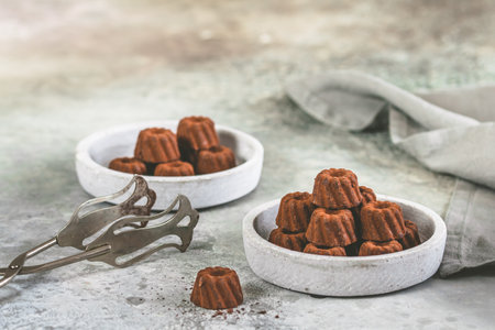 Chocolate pralines in the form of small Bundt cakes, dusted with cocoa, on light gray background, copy spaceの写真素材