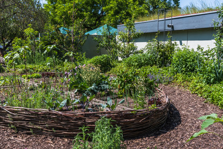 Natural garden with willow fence as border for bedsの写真素材