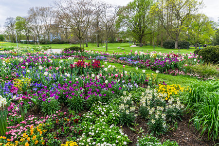Bed of colorful spring flowersの写真素材
