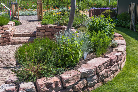 Garden with sandstone wall, paved path and patio and herb bedの写真素材