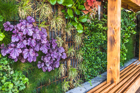 Colorful plants at a wall of a terrace, vertical garden, greening concept, modern urban gardenの写真素材