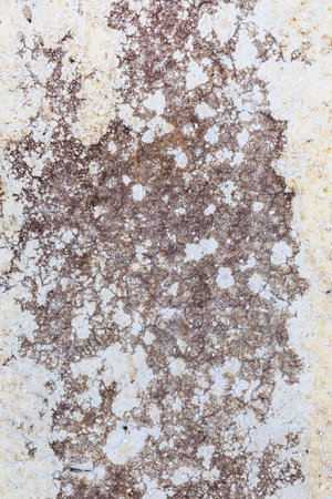 Old grungy concrete wall with old paint and lime as a background or textureの写真素材