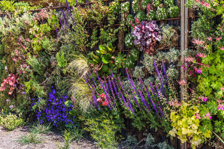 Colorful plants in a vertical garden, greening concept, modern urban gardenの写真素材