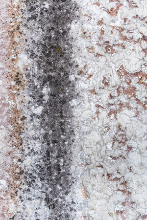 Old grungy concrete wall with old paint and lime as a background or textureの写真素材