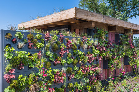 Colorful plants in a vertical garden, greening concept, modern urban gardenの写真素材