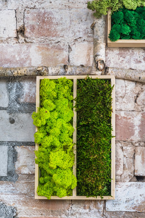 Light and dark green moss in wooden boxes on a rustic stone wall in the form of a picture. Beautiful frame for a picture. Ecology. verticalの写真素材