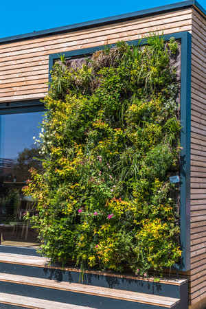 Modern vertical garden, greening concept, urban gardenの写真素材