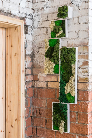 Light and dark green moss in wooden boxes on a rustic stone wall in the form of a picture. Beautiful frame for a picture. Ecology. verticalの写真素材