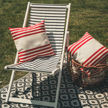 Cozy garden chair with red and white cushions on modern outdoor rugの写真素材