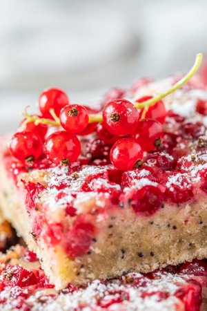 Pieces of summer pie with red currants on white and gray background, vertical, close upの写真素材