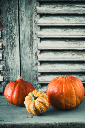 Three pumpkins on a wooden windowsill, verticalの写真素材