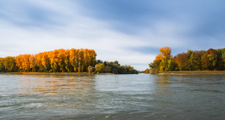 River bank with autumn colored trees, blue skyの写真素材