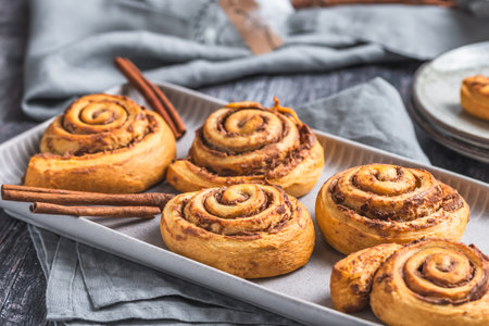 Homemade cinnamon rolls on a gray earthenware tray on gray backgroundの写真素材
