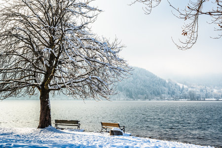 Lake Schliersee in the Bavarian Alps in Germany on a cold day in winterの写真素材