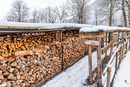Stacked pile of firewood at winter timeの写真素材