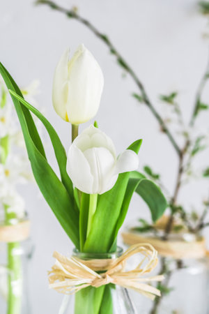 White tulips in a glass vase on white background, verticalの写真素材
