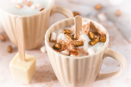 Cup with hot chocolate dipping sticks and marshmallowsの写真素材