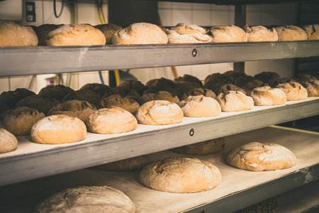 Bread blanks on large baking sheets, prepared for baking in a bakeryの写真素材