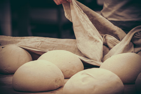 Raw bread, partial bales covered with a linen cloth, ready for bakingの写真素材