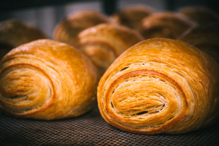 Freshly baked croissants on a baking sheet, close-upの写真素材