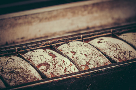 Freshly baked loaves of bread lie in the baking pan, copy pasteの写真素材
