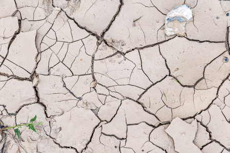 Erosion in dry sandy soil in summer.の写真素材