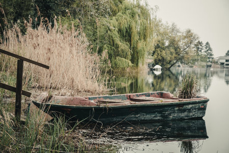Old wooden boat in a lake on a dreary gray spring day, different green and yellow tonesの写真素材