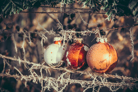 Three shiny Christmas baubles on frozen branches, outdoor decorationの写真素材