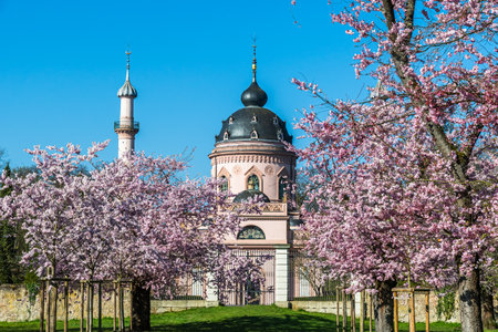 Blooming cherry trees in front of the the pink mosque in the castle park in Schwetzingen, Germany. Blue sky, sunny spring day, copy space.の写真素材