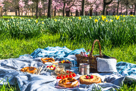 Leisure, finger food and drinks concept - picnic basket, bottle of fruit juice, fruits, fruit salad, yogurt, cake, tomatoesの写真素材