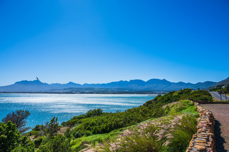 Beautiful coastal landscape on the Garden Route in South Africaの写真素材