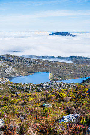 Landscape on the top of Table Mountain, Cape Town, South Africa, surrounded by clouds, vertical