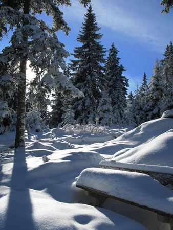 Winter in austria 2010の写真素材